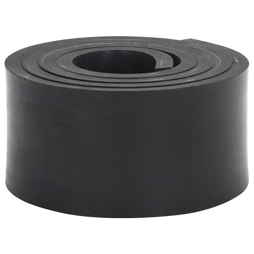 Bordo in Gomma per Spazzaneve Nero 200x10x1 cm
