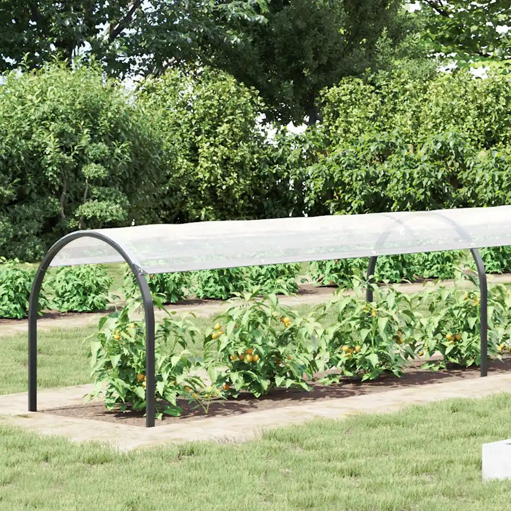 Copertura per Piante con Occhielli 1x6 m in Polietilene CFW6063476