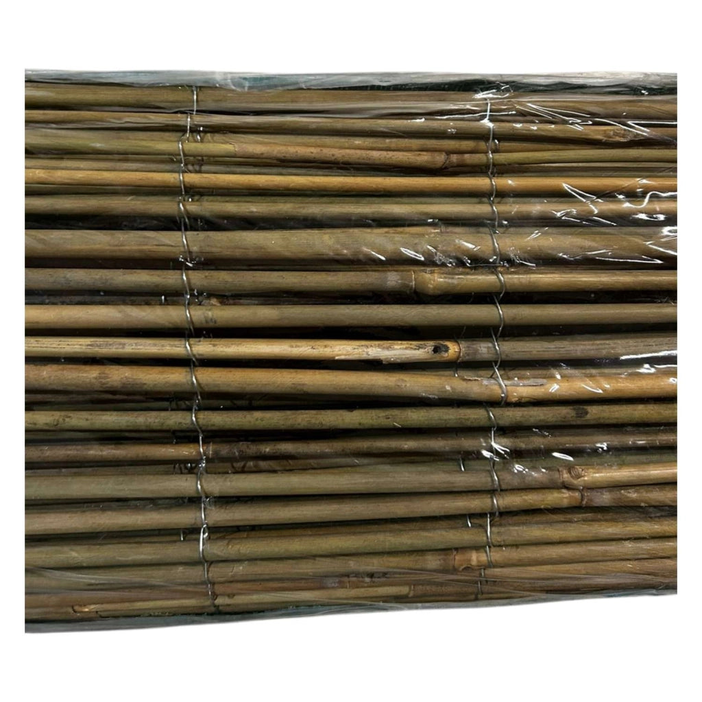 ARELLA IN BAMBOO CANNE 8/10 CA. MT 3X1,5