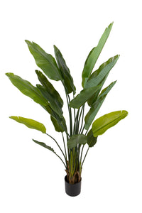 Pianta Artificiale Sterlizia con Vaso Composta da 20 Diramazioni Real Touch H 180 cm