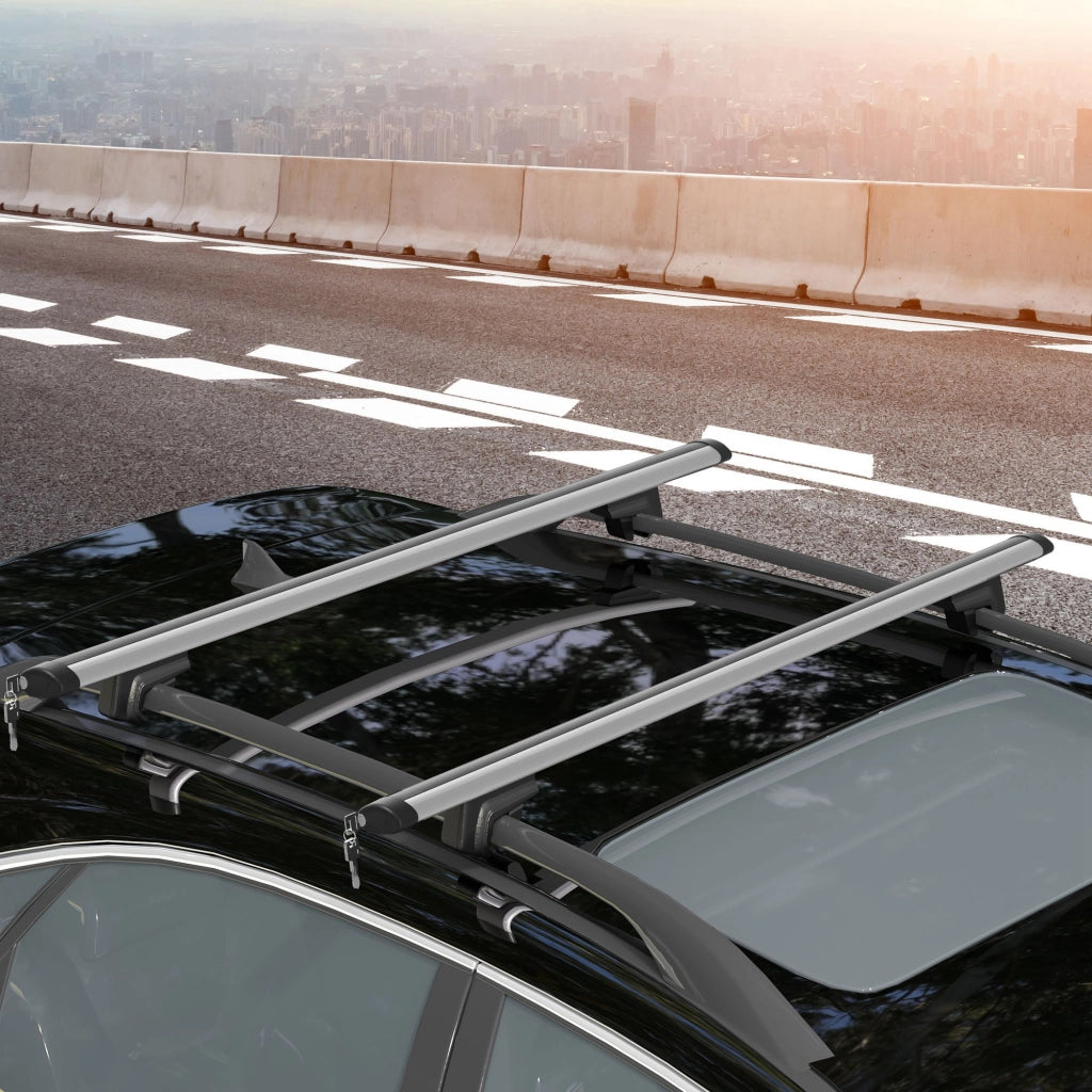 Portabagagli universale per auto ¨C zephmum ¨C alluminio 123,5 cm 75 kg