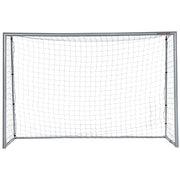 Porta da Calcio con Viti e Picchetti inclusi 300x120x200 cm in PE e Metallo Grigio