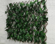 Traliccio Edera Rampicante Verde Frangivista Recinzione Giardino Balcone 1x2mt