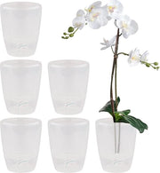 Set di vasi autoirriganti per orchidee - 6 pezzi - diametro 12 cm - sistema di evaporazione - indicatore del livello dell'acqua - trasparente - 13 litri