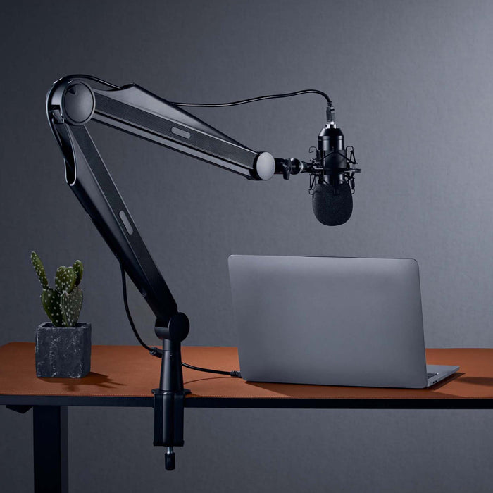 Asta microfono da tavolo 80cm Braccio snodabile per microfoni da 3/8" e 5/8"