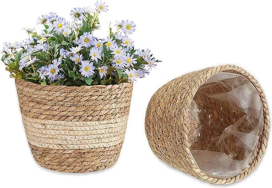 Due vasi per piante, set di due, stro, vaso per piante, vasi per piante di zeppa di mare, zeppa di mare mano a mano, vasi per piante per decorazione interna ed esterna