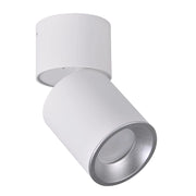 Spot da superficie orientabile GU10 bianco/argento Astra Polux