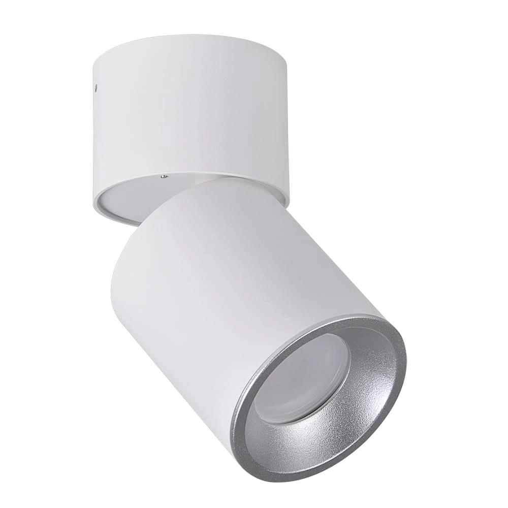Spot da superficie orientabile GU10 bianco/argento Astra Polux