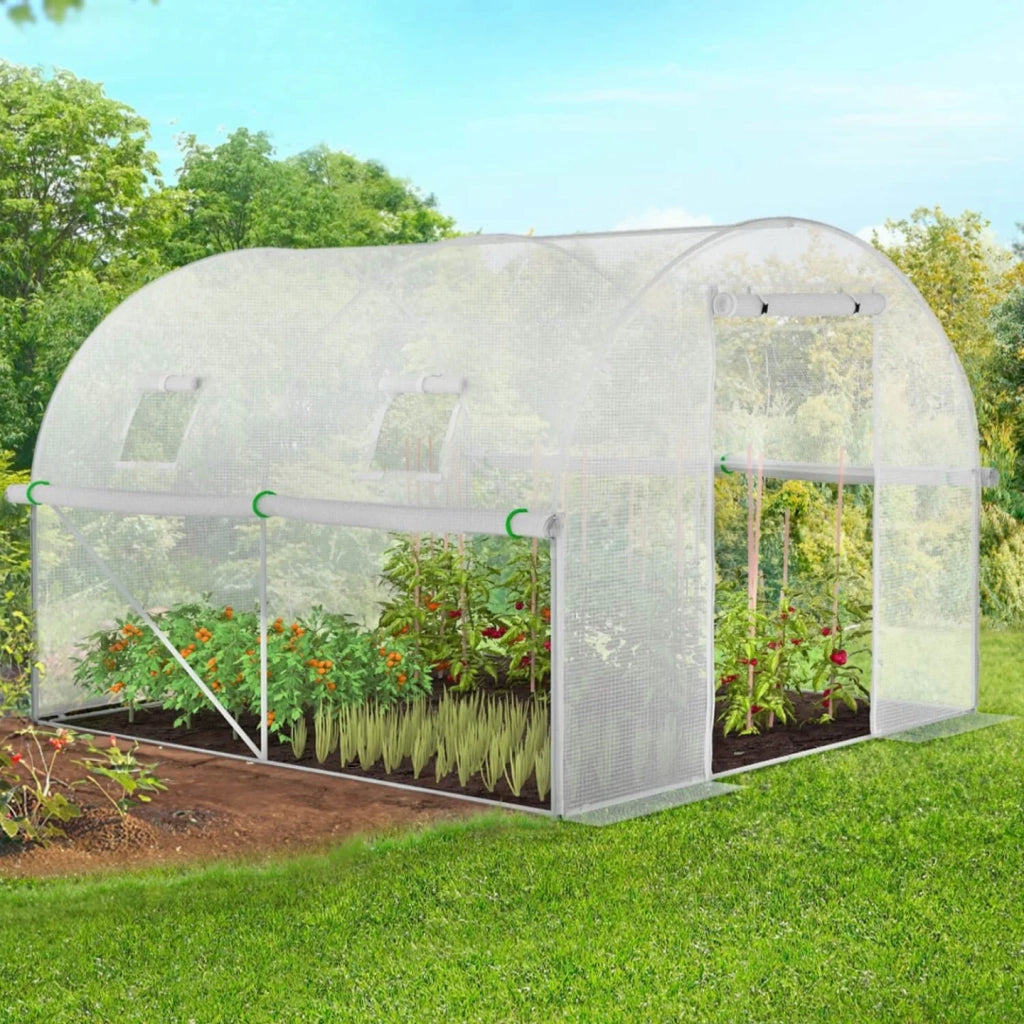 IDMarket - Serra tunnel di giardinario 6m²  bianco 4 stagioni ZEBRA 2x3M