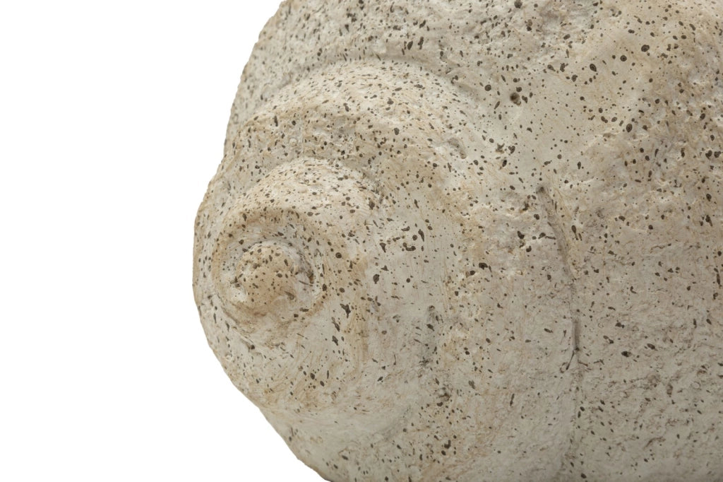 Vaso Shell Sand 35x23x18 cm in Mgo Beige