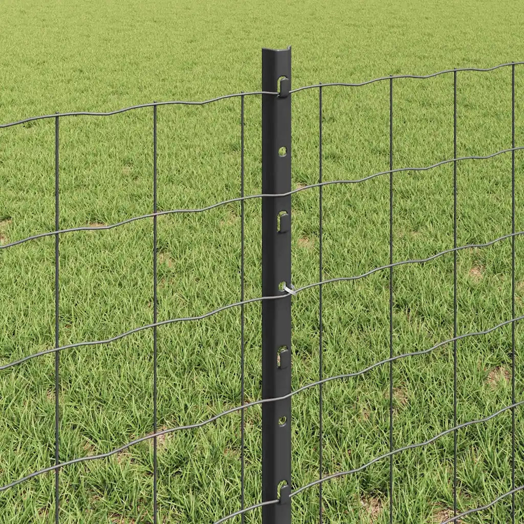 Recinzione con Posto Grigio 3336138