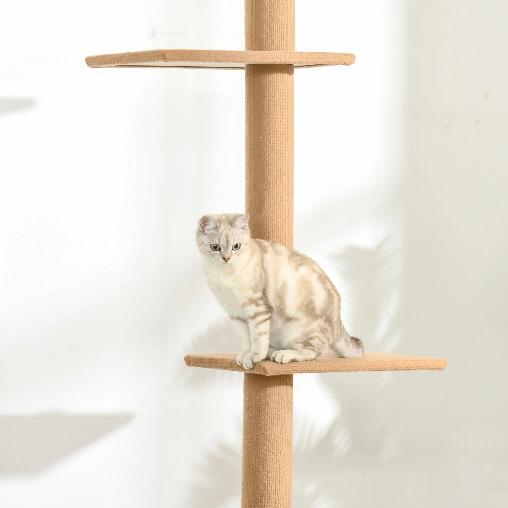 Albero Tiragraffi Regolabile in Altezza per Gatti, Marrone, 43 x 27 x 228-260 cm