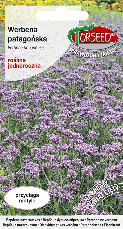 Verbena della Patagonia - Verbena bonariensis viola-rosa 0,1 g