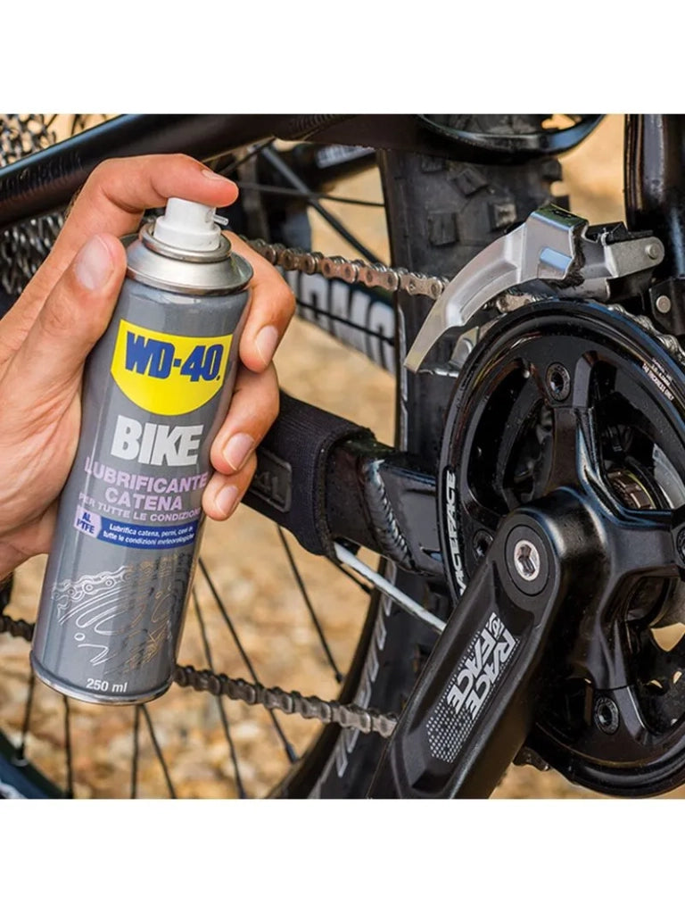 LUBRIFICANTE CATENA PER BICI 'WD-40' 250 ml - per tutte le condizioni - WD-40