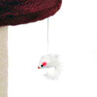 Albero tiragraffi per gatti rosso 71 cm Albero per arrampicarsi Tiragraffi Gatto