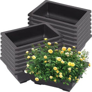 Punti di allenamento per bonsai - Bonsai pot di allenamento con contenitore quadrato per bonsai - 15 pezzi - Giardino Interno Esterno Salotto - 225 x 165 x 75 cm