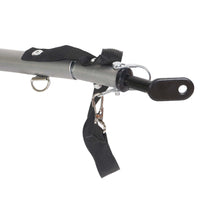 Rimorchio per cani bici, con gancio girevole di sicurezza, zanzariera e copertura antipioggia