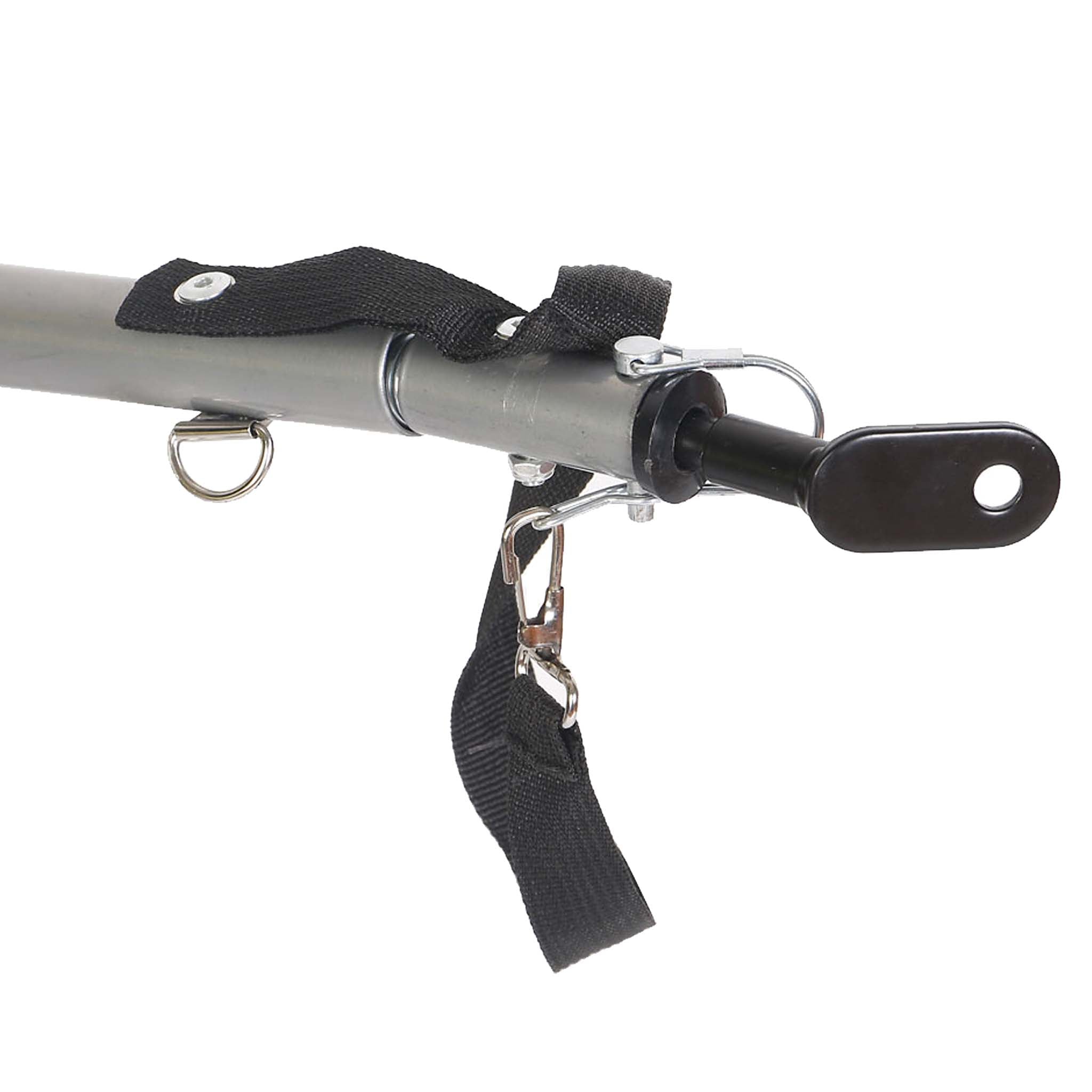 Rimorchio per cani bici, con gancio girevole di sicurezza, zanzariera e copertura antipioggia