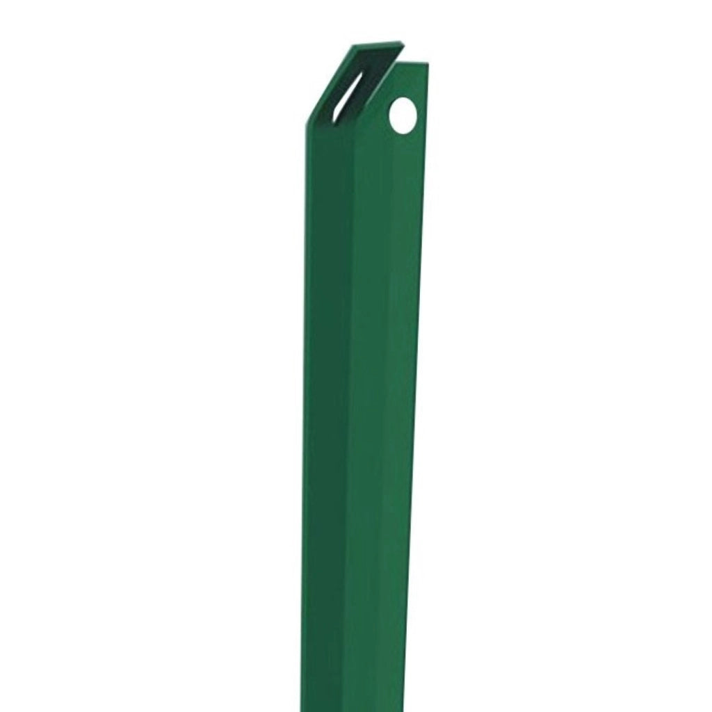 Paletto Saetta Plastificato 3 Mm 3 Cm Altezza 1,5 Metri Set 2 Pezzi - Biacchi E.