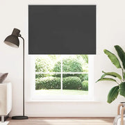 Tenda a Rullo Oscurante 155x210 cm Larghezza Tessuto 151,6 cm 4010931