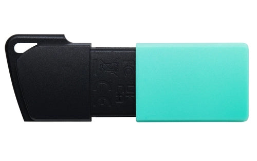 Kingston DTXM/256GB