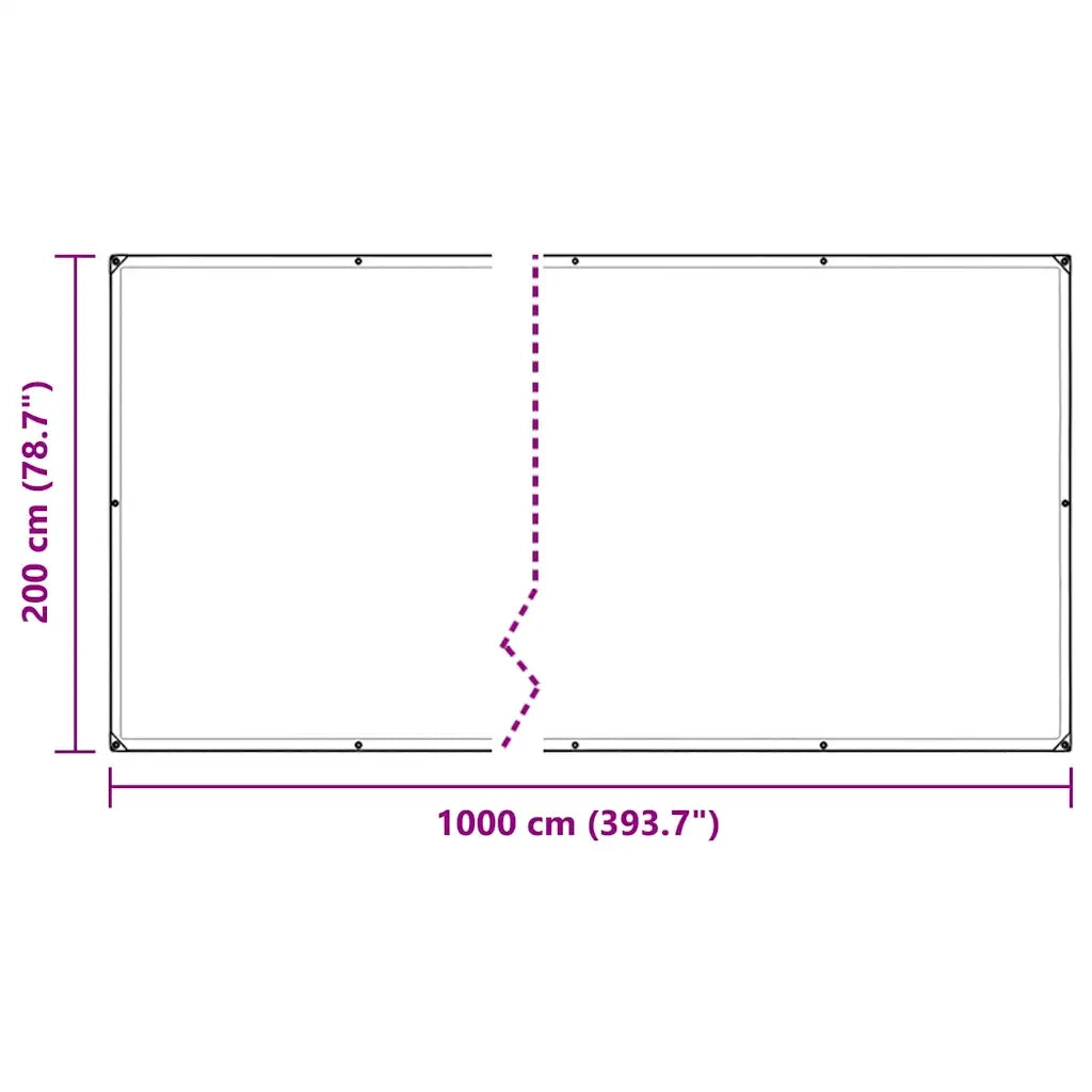 Telone Trasparente con Occhielli 2x10 m in PVC 4018597