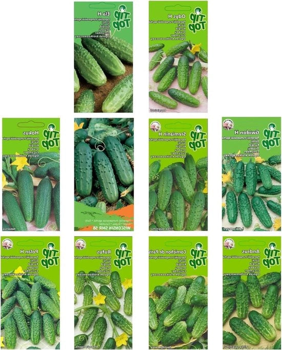 Set di semi di melone – 10 tipi – Kit di semi di melone per iniziare – 10 pacchi – Semi di piante da giardino – Box di semi di verdura – Semi