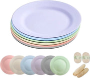 Set di piatti in plastica da 25 cm, 6 pezzi, piatti riutilizzabili con spazzole per il lavaggio a luffa, piatti per il cibo, magnetron resistenti, lavastoviglie resistenti, BPA liberi, per feste, campeggio, BBQ/pizza