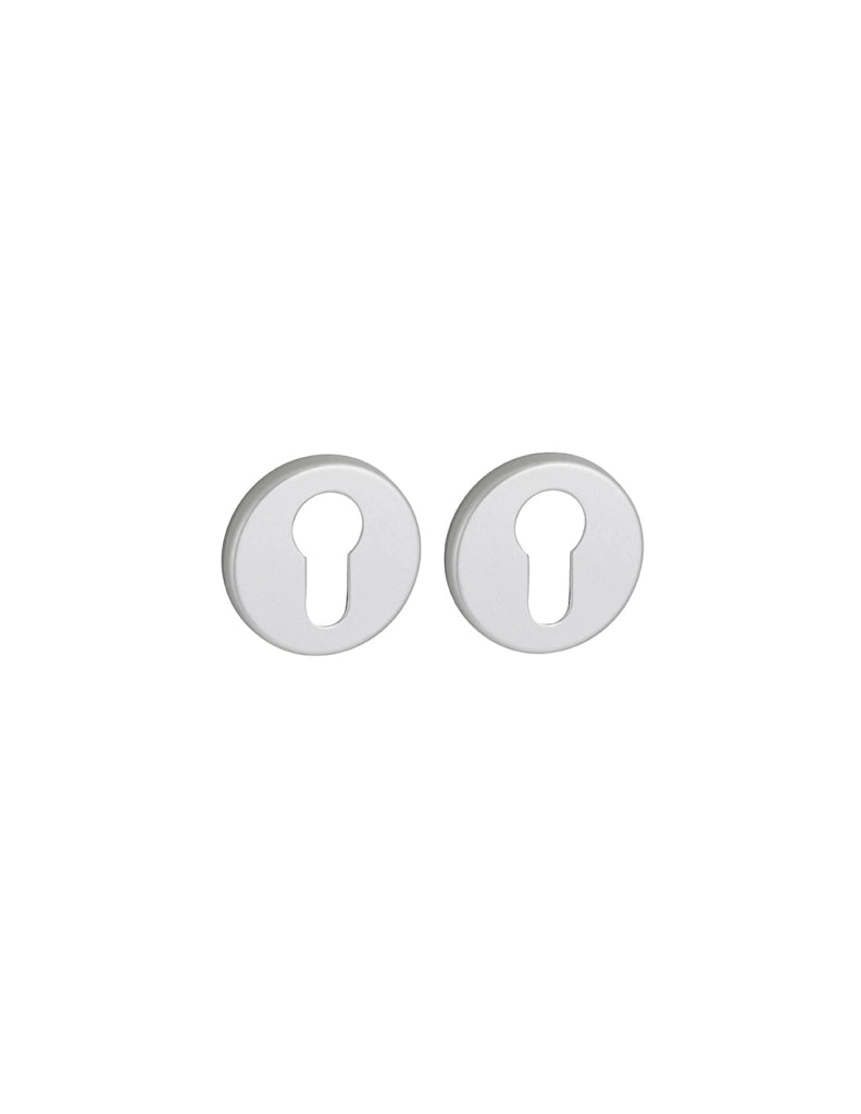 Coppia borchie, rosetta tonda Canopee Ø 50mm foro per cilindro europeo, argento - THIRARD