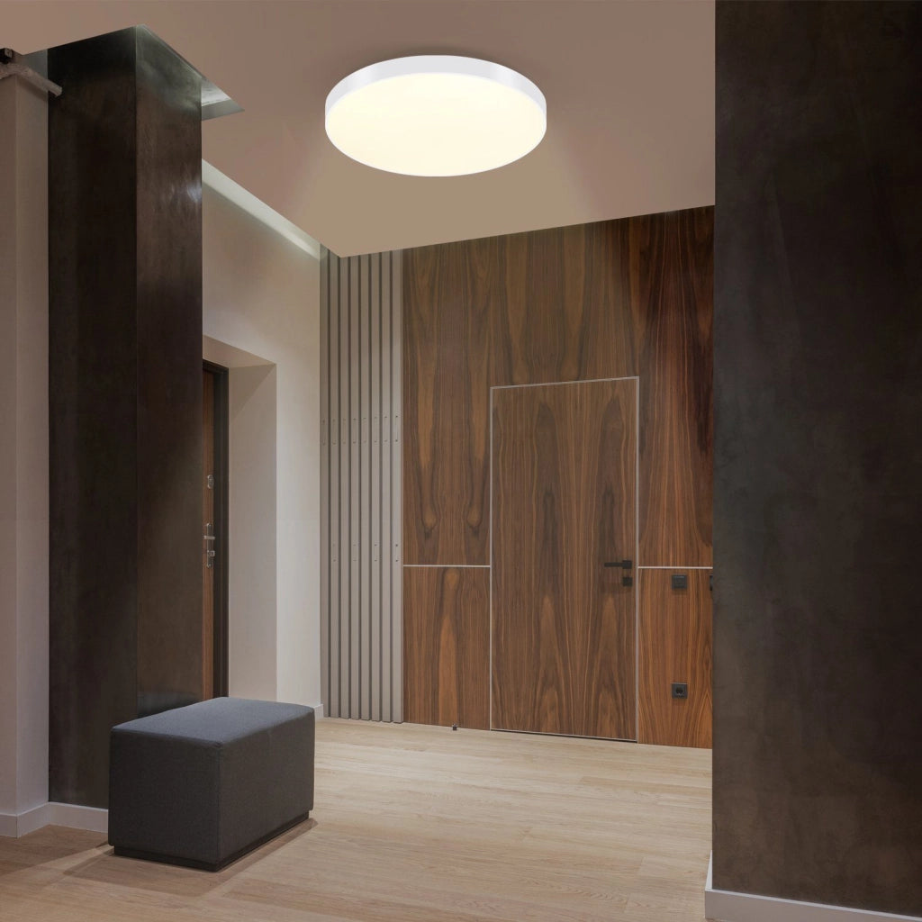 ZMH Lampada da soffitto plafoniera LED moderna per soggiorno cucina camera letto corridoio