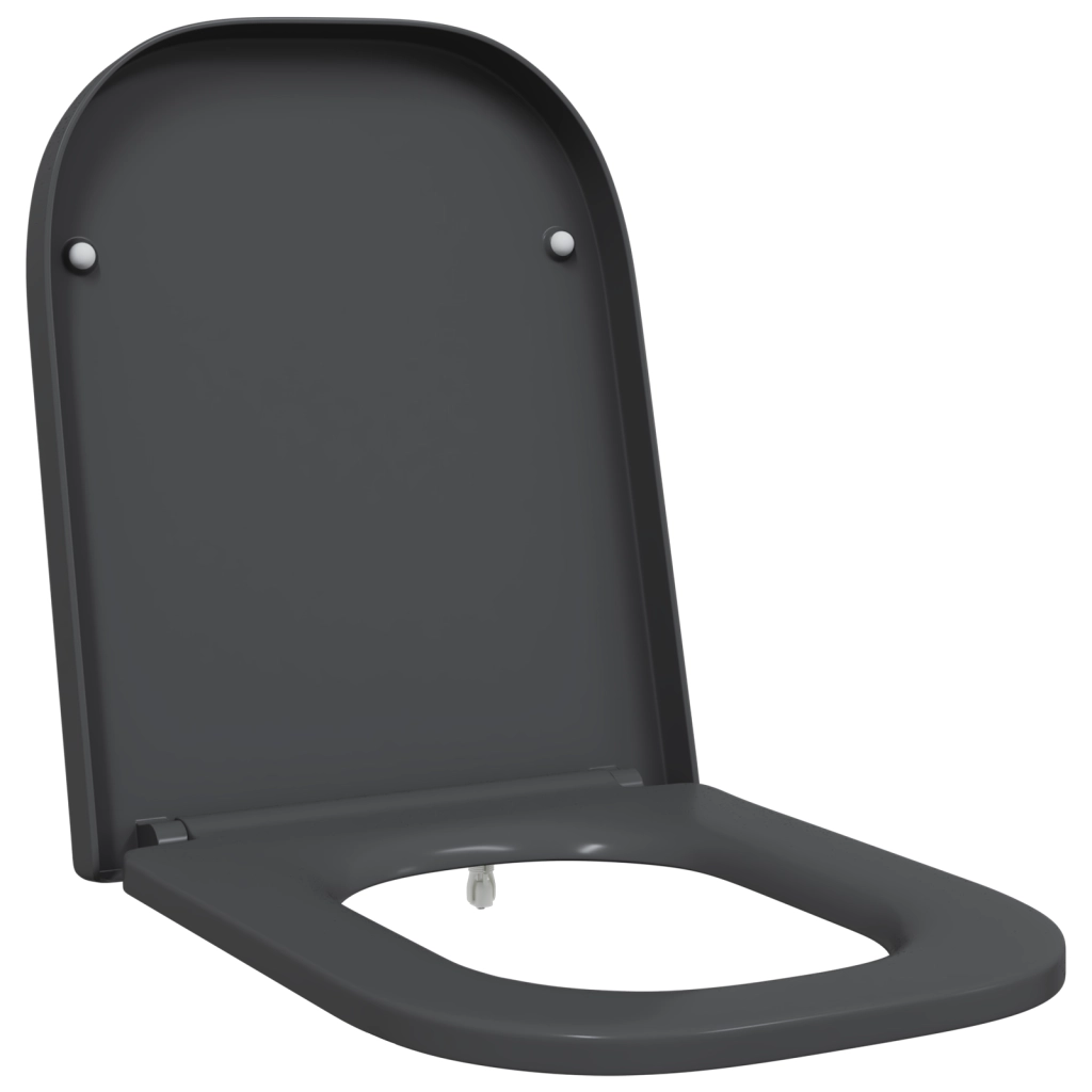 Sedile del WC a rilascio rapido con chiusura morbida in Duroplast Antracite