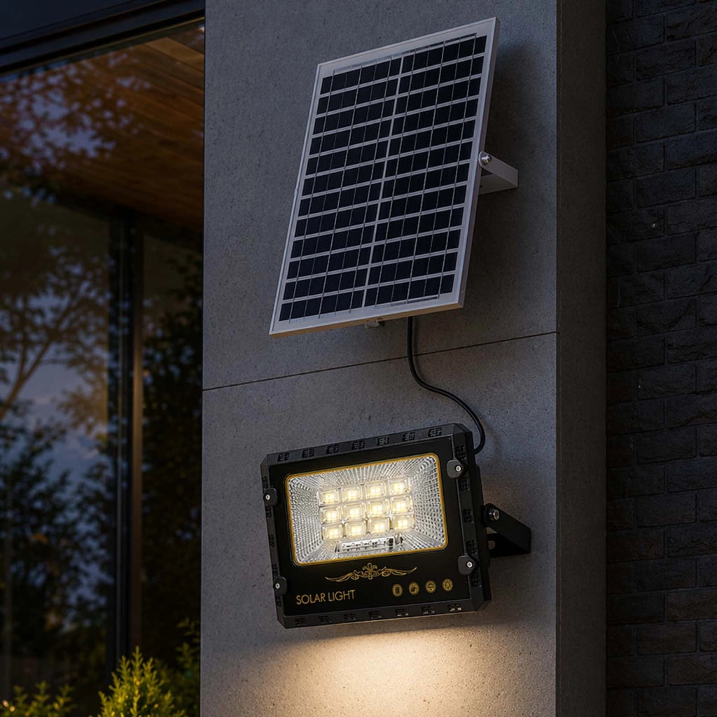 Proiettore Solare LED Esterno 9000K con Rilevamento Automatico Nero Avizar