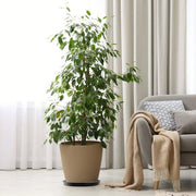 Set di sostegni rotondi da 10 - Sostegni per piante - Sostegni in plastica - Sostegni con etichette - Sostenibili - Imprermeabili - Sostegni per vaso di fiori