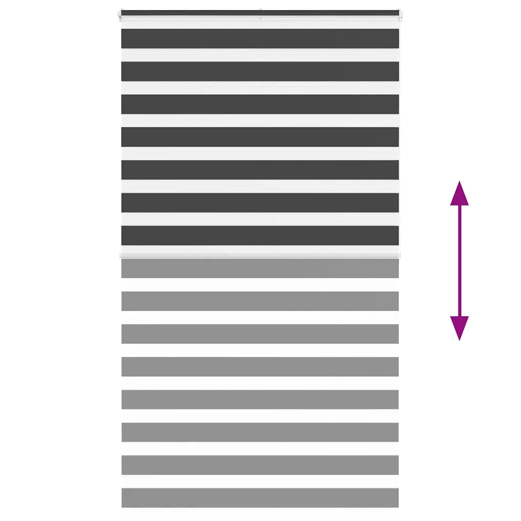 Tenda a rullo | Tenda avvolgibile Zebra Nero Larghezza Tessuto 120,9 cm Poliestere