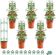 Supporto per Piante in Metallo da 121 cm per Pomodori e Altri - 10 Clip per Piante e 1 Nastro Verde (6 pezzi)