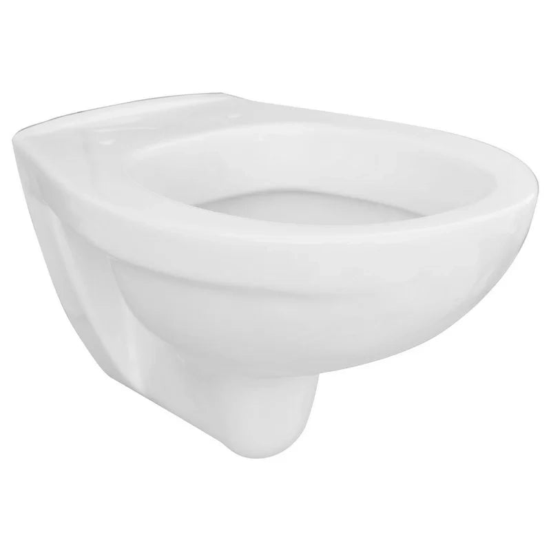 Vaso sospeso felce in porcellana bianca