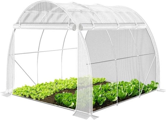 Tunnel di Coltivazione per Pomodoro Resistente alle Intemperie 3x2x2m 6m² - Film di Greenhouse Pareti con Ruote di Avvolgimento Bianco - Verde