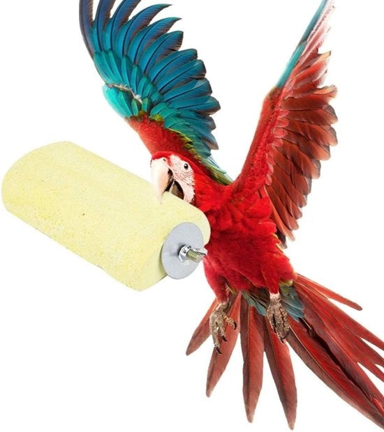 Pietra abrasiva per coniglio, pappagallo e uccello - Piattaforma verticale con accessori per la palestra per giocare e arrampicarsi.