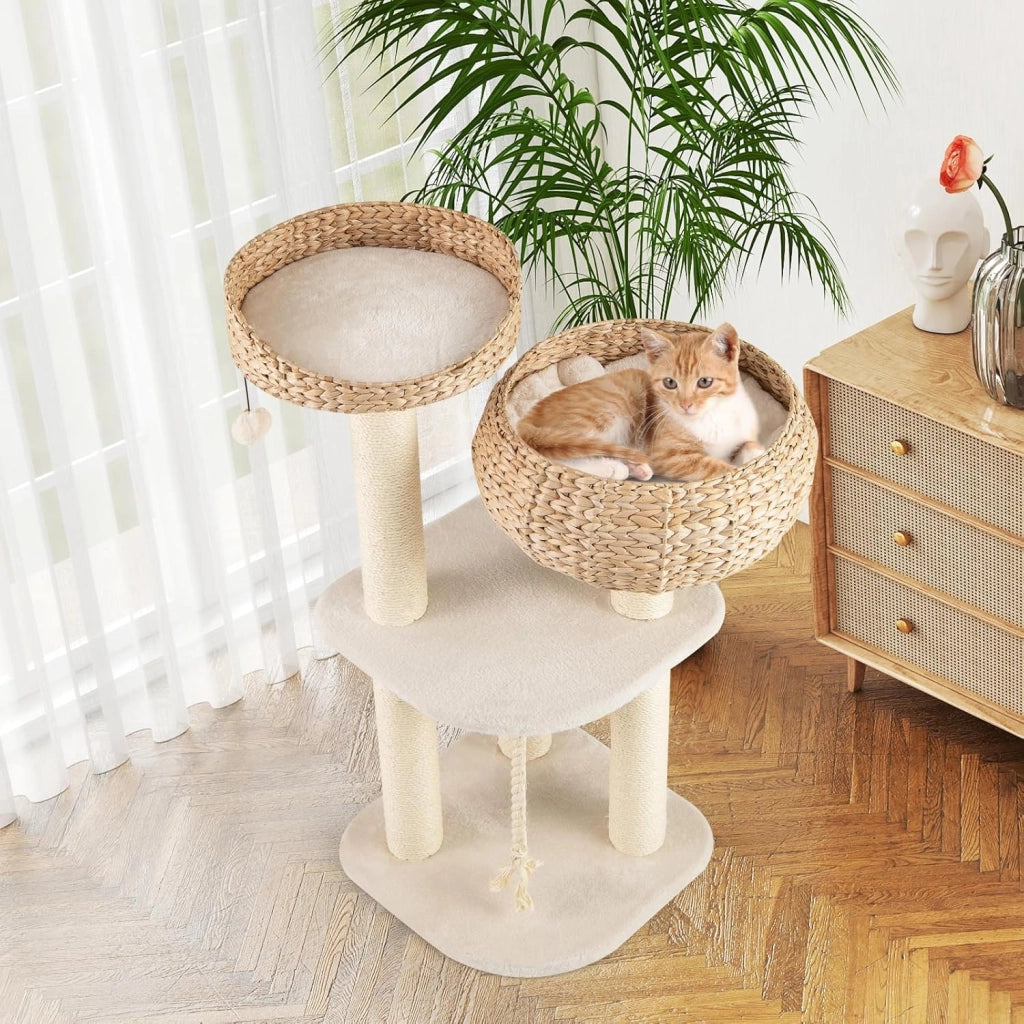 Tiragraffi per Gatti Piccoli, Tiragraffi con Cuccia, Piattaforma, Pallina e Palo in Sisal Naturale, Albero per Gatti da Divano, Salotto e Camera da Letto