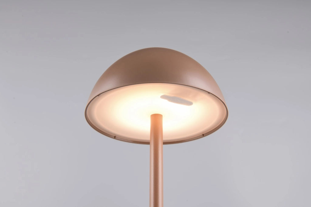 Lampada da tavolo LED touch IP54 marrone RICARDO RL