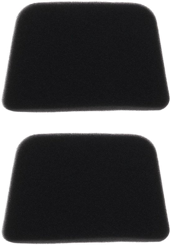 Filtro dell'aria 2 pezzi - Compatibile con EM4251/BHX2500 - Materiale a spugna - Facile da installare - Alta durata - Filtro