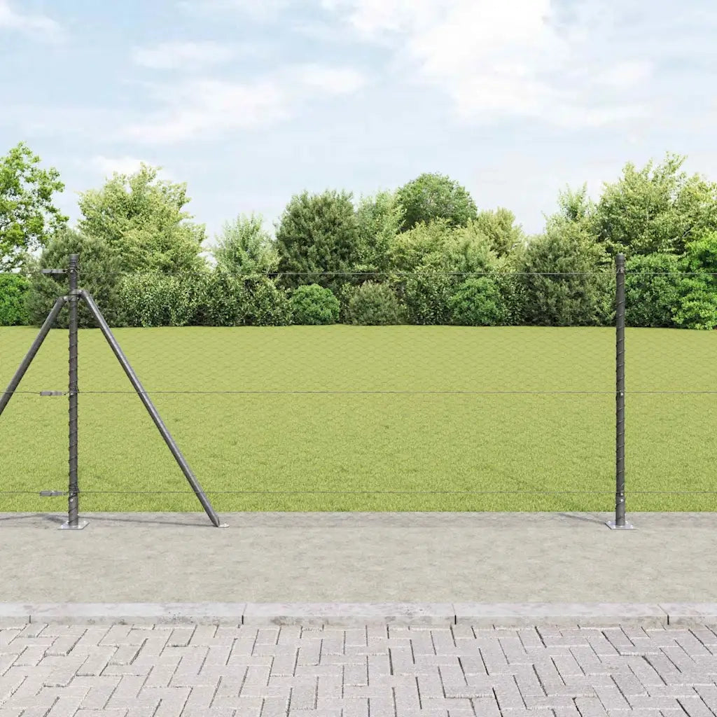 Palo della recinzione Grigio 100 x 0,8 m (rete da 25 mm)