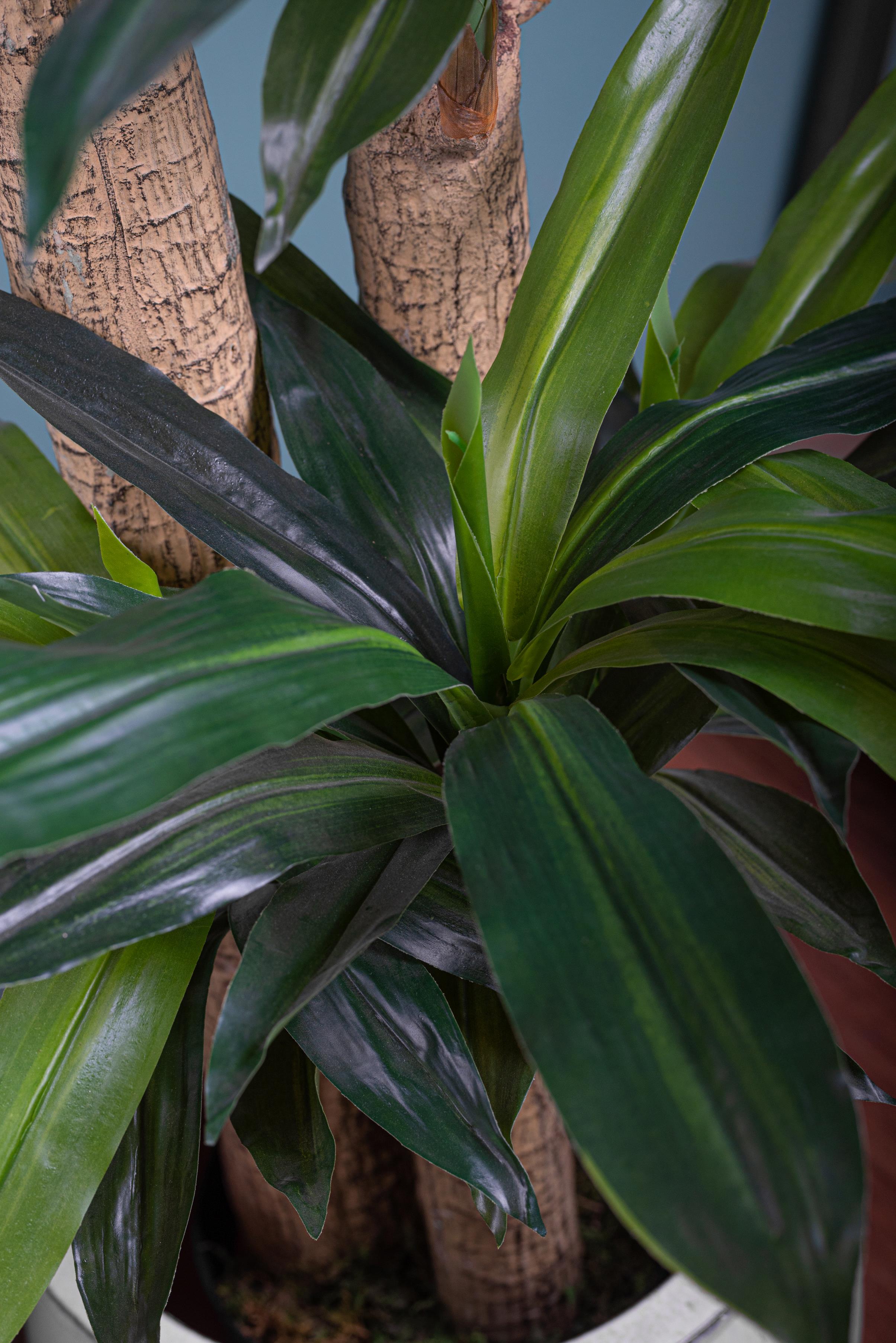 Pianta Artificiale Tronco Della Felicità con Vaso H 150 cm