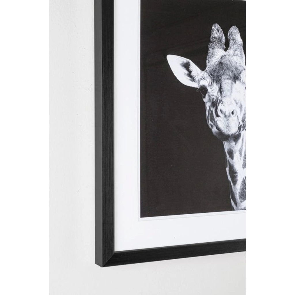 Quadro c-c evidence 107 49x49