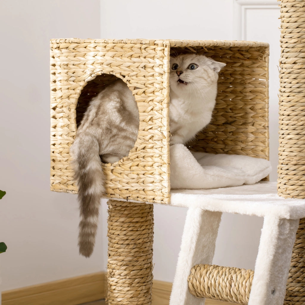 Tiragraffi per Gatti ¨C Xylo ¨C Altezza 100,5 cm con Cuscini e Scala