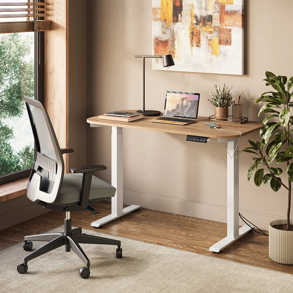 Vicco Scrivania Bianco/Artisan 120 x 60 cm 2 motori