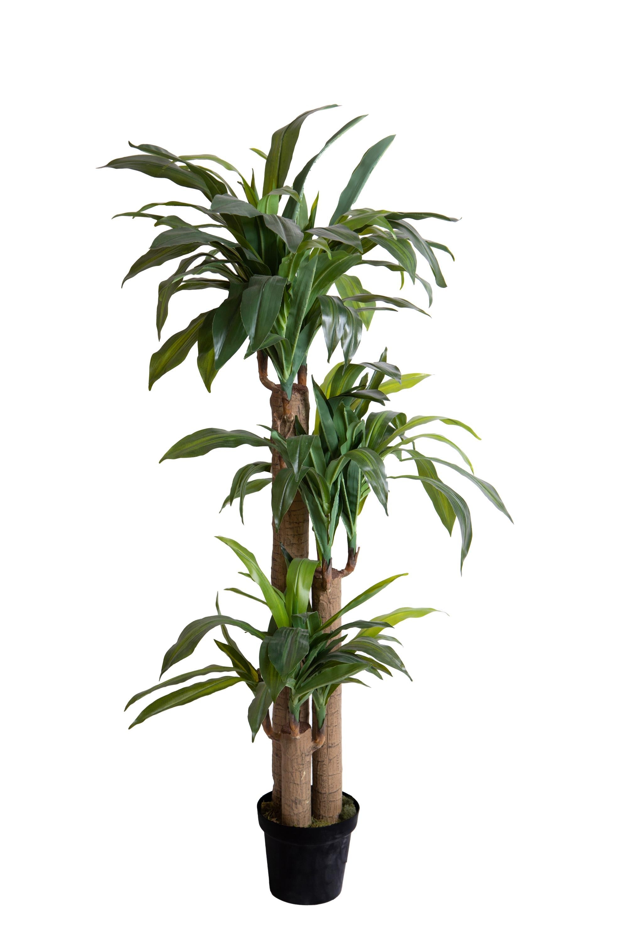 Pianta Artificiale Tronco Della Felicità con Vaso H 150 cm