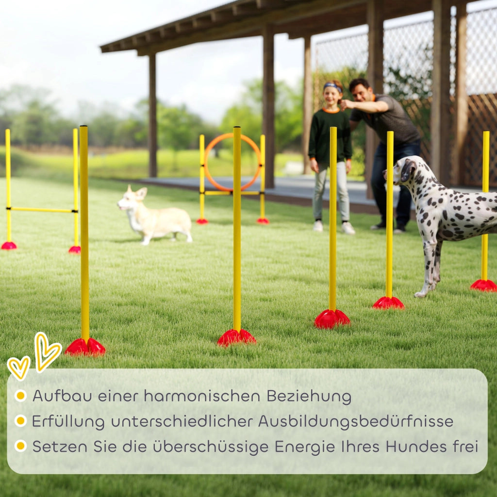 Set Agility per Cani 3 Pezzi ¨C Xylo ¨C Ostacoli con Pali Slalom Riempibili