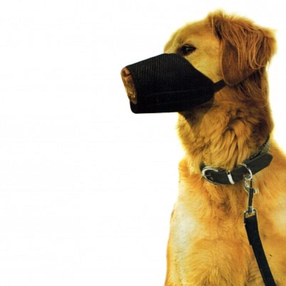 Trade Shop - Museruola Regolabile In Nylon Nobleza Lavabile Per Sicurezza Muzzle Dog -    Xl