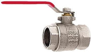 Viti a goccia 25 mm (1 pollice) condotto interno verniciato - Per applicazioni idrotecnologiche